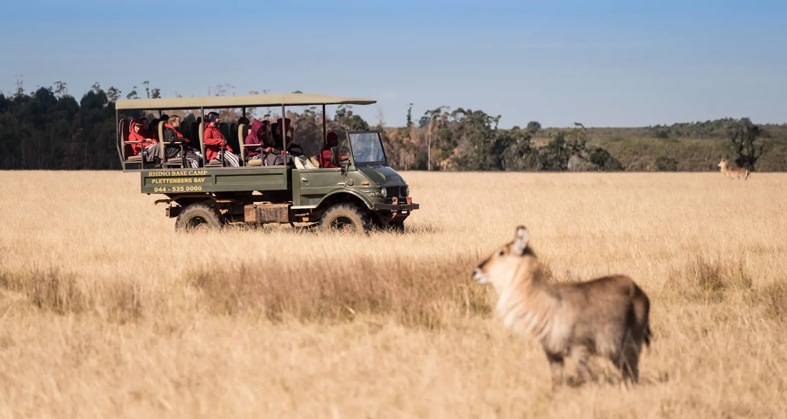 Experience the magic of the African bush with a two-hour game drive in the 2,200 hectare reserve at the foothills of the Tsitsikamma Mountains.